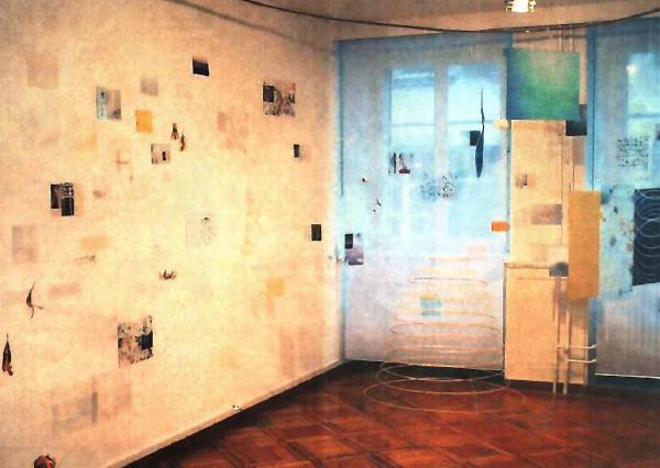 Der ganze Raum der Galerie Christoph Abbühl Solothurn wird 2012 zur Installation. Sonya Friedrich setzt ihr Thema Transparenz fort. (Foto: Eva Buhrfeind)
