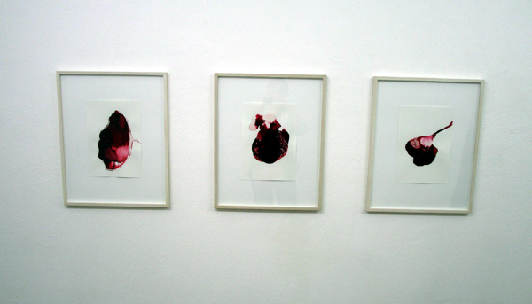 Werke von Judith Eckert 2026 in der Galerie Rössli, Balsthal.