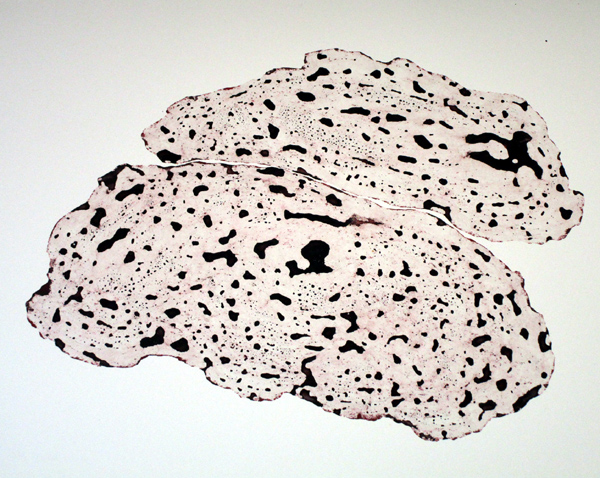 Werke von Judith Eckert 2026 in der Galerie Rössli, Balsthal.