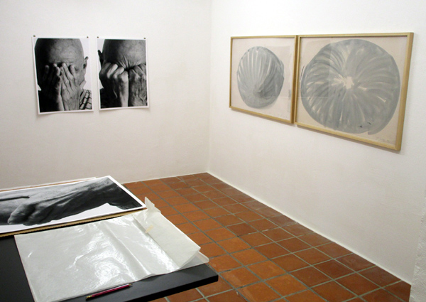 Werke von Marcel Peltier 2026 in der Galerie Rössli in Balsthal. (Foto: Eva Buhrfeind) Werke von Marcel Peltier 2026 in der Galerie Rössli in Balsthal. (Foto: Eva Buhrfeind)
